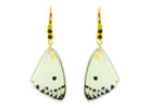 Miccy's | Madame Delias | Butterfly Earrings