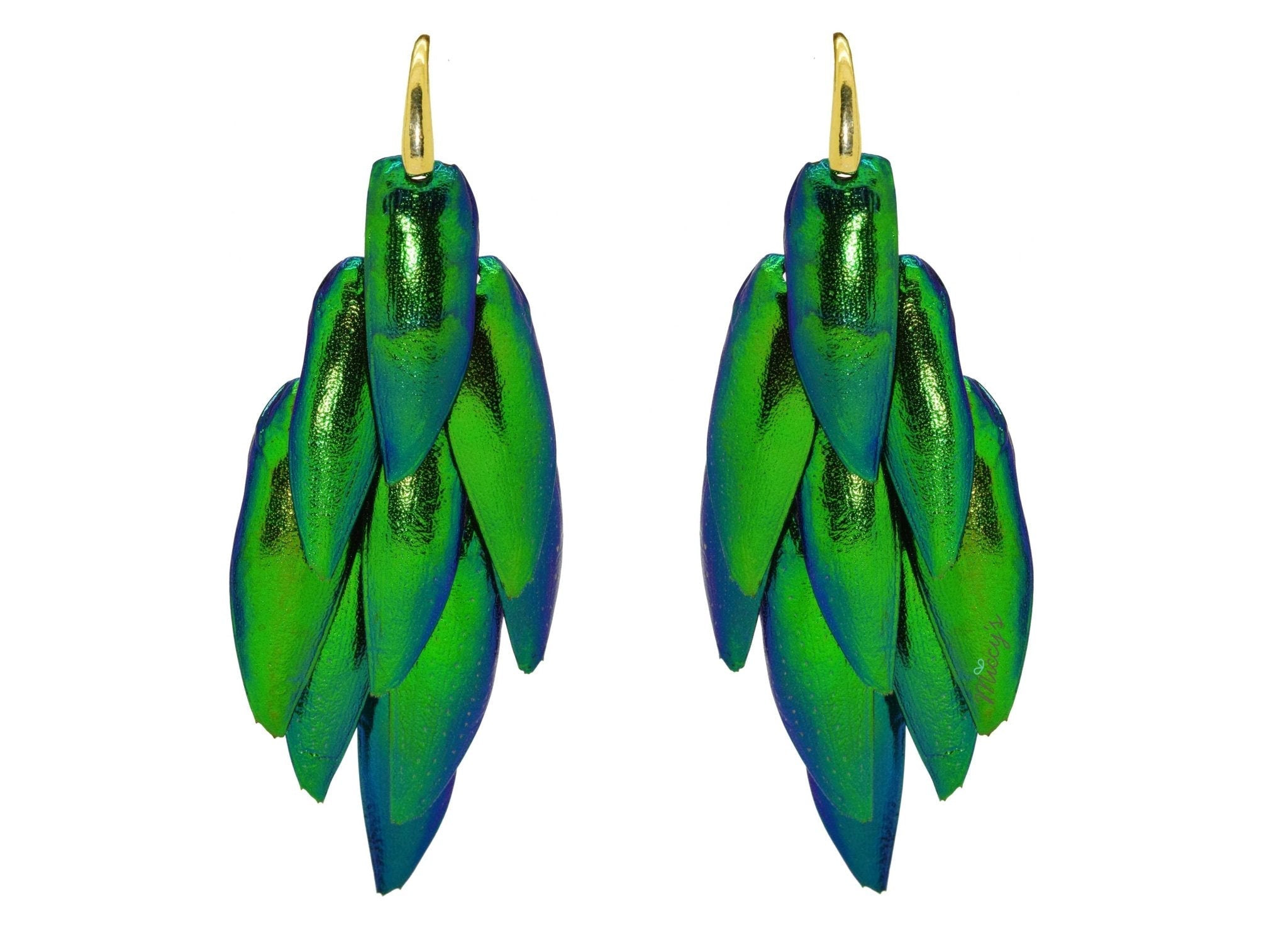 Beetle Wing Collection