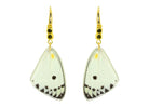 Miccy's | Madame Delias | Butterfly Earrings