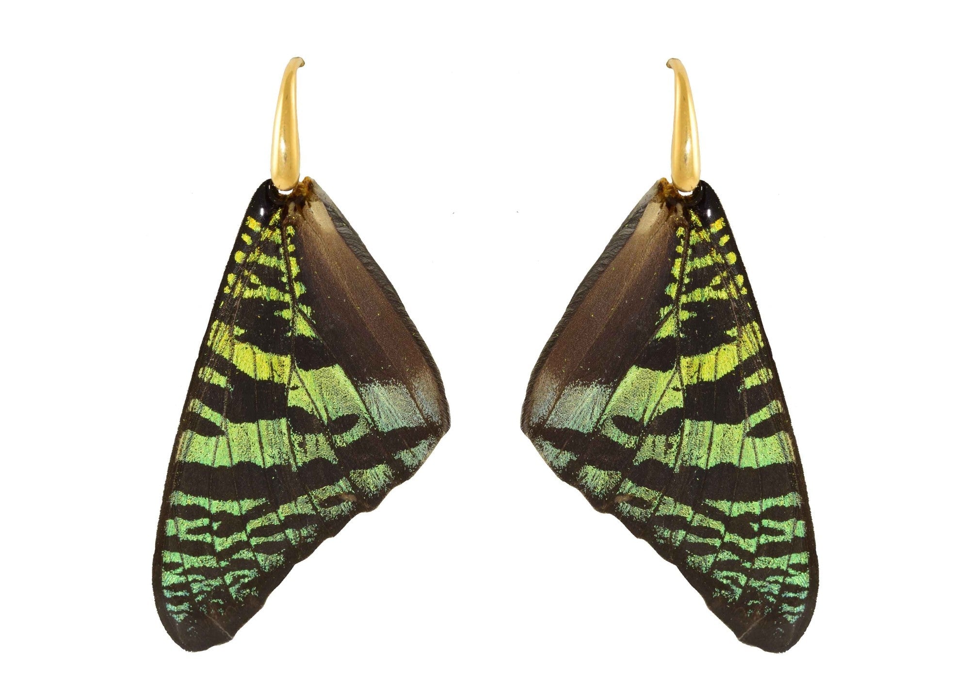 Miccy's | Madame Sunset | Butterfly Earrings